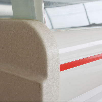 Portable Meat Display Freezer