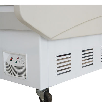 Portable Meat Display Freezer